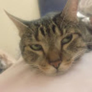 Meet your Posher, Christine